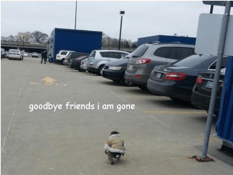 tumblr_meuncxTGx41rzl0dno1_500