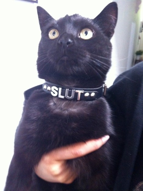 tumblr_mfczbzh1rj1qcv80uo1_1280