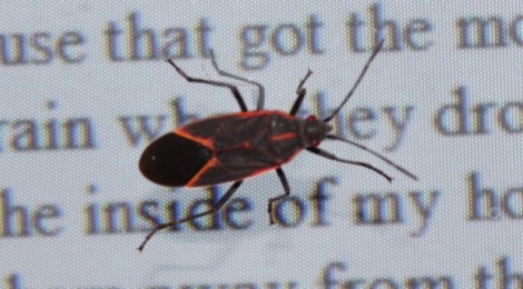 50a4067c01de4.preview-620