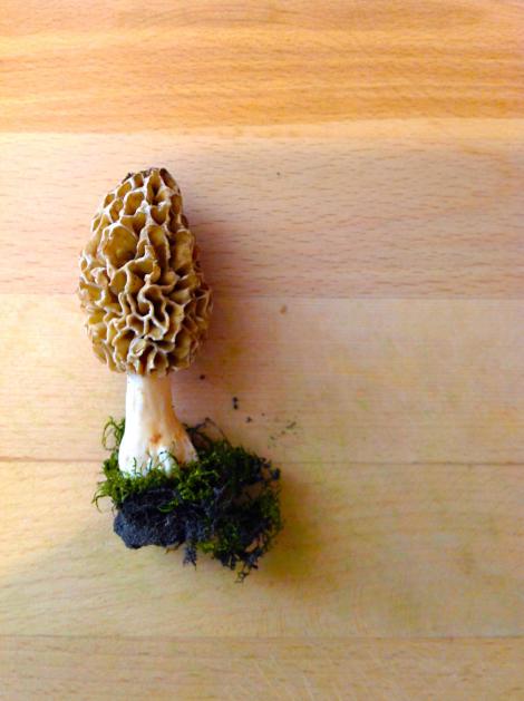 459847_2917240138325_875367969_o