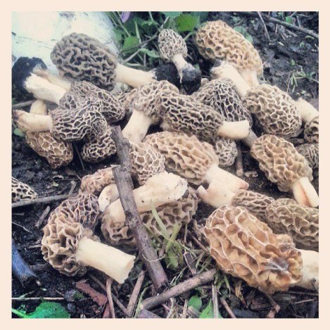 601816_4896751064861_1332869208_n