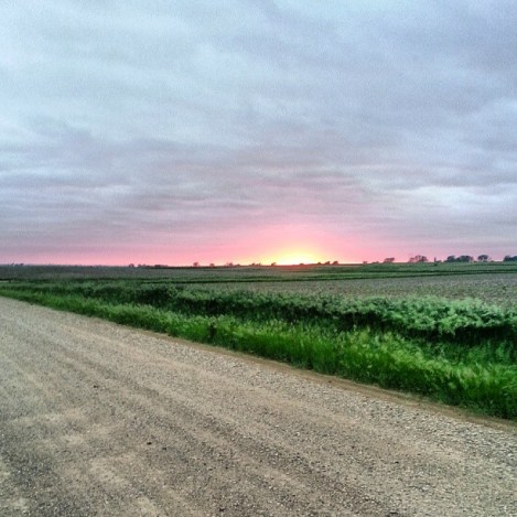 1002400_10200114646337159_637512042_n