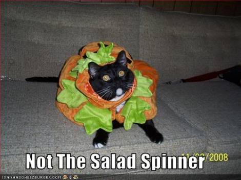 SaladSpinner