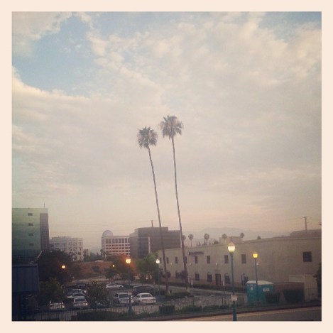 1044545_10200220891673226_245222774_n