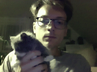 gifpal-20130911214913