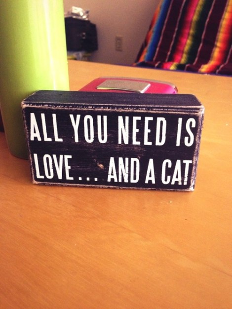 tumblr_mt4xl1twIL1qff6lzo1_500