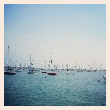 1003110_10200211832526753_649947558_n