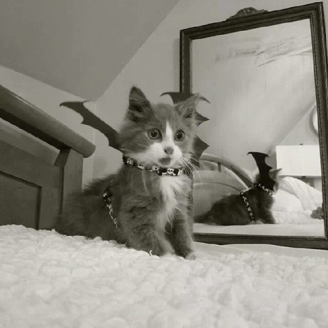 1391569_10200898260527024_271311313_n