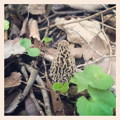 10325347_10202029560048805_1363012018290935515_n