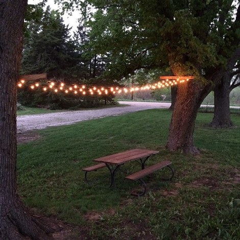 10342911_10202072459441263_6867724011407075309_n