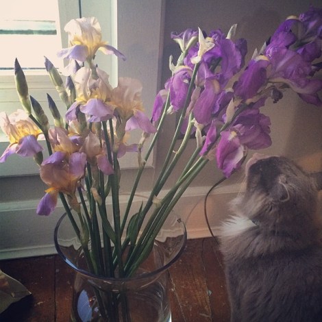 10378157_10202143764583847_1304911679145539482_n