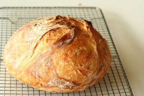 no-knead-bread15