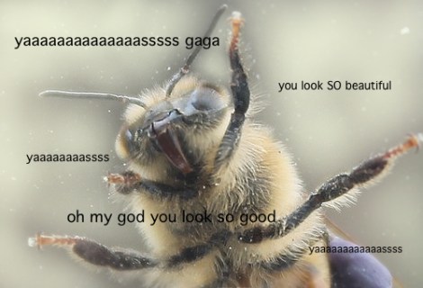 enhanced-buzz-10357-1381255817-2