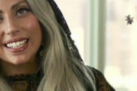 enhanced-buzz-8216-1381255817-12