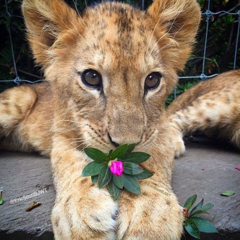 f6f5b558498fd1c086e00a923013ab7c