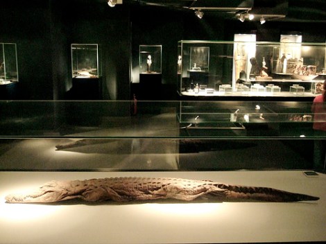 mummification_museum