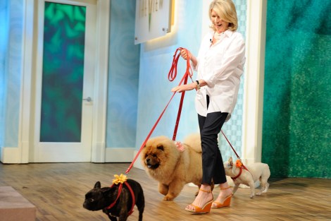 unleashed-martha-stewart-dogs
