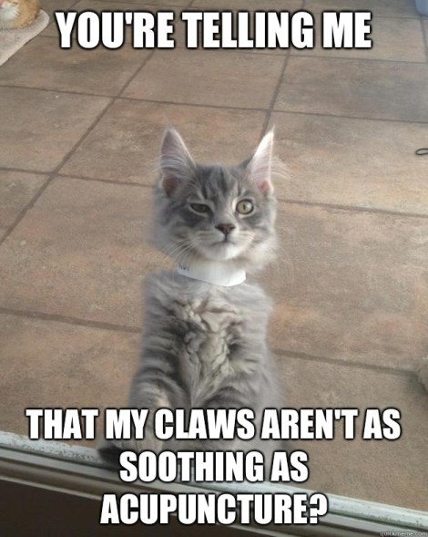 a56da95084afd71db630820e7844e6c206d79e881ac98e83ee0f83c924555dce