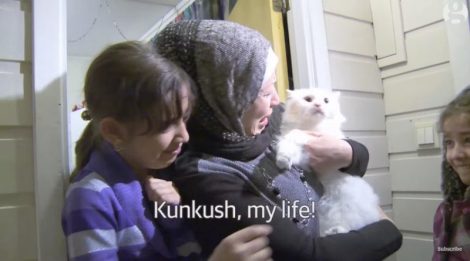 Lémouvante-histoire-de-Kunkush-ce-chat-de-migrants-irakiens-retrouve-ses-propriétaires-en…-Norvège-4-800x445