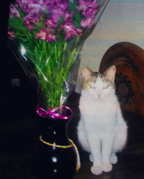 D2D432C3-C46F-4120-94E9-EA828DD06151